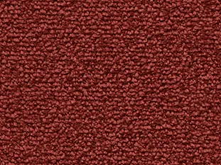 Produktbild – Lyrica Veloursteppich – 4m / 1N38