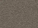 Lyrica Veloursteppich – 4m / 5X81