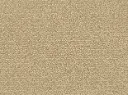 Lyrica Veloursteppich – 4m / 8L31