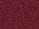 Lyrica Veloursteppich Raummass – 5m / 1N41