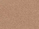 Lyrica Veloursteppich Raummass – 5m / 1P94