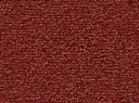 Lyrica Veloursteppich Raummass gekettelt mit Paspelband – 5m / 1N38