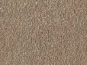 Alba Veloursteppich  – 4m / 8L46