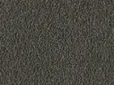 Alba Veloursteppich Konfektion de Luxe – 4m / 55A1