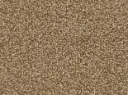 Calla Veloursteppich   – 4m / 7H52