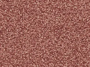 Produktbild – Calla Veloursteppich Raummass mit Paspelband – 4m / 1Q21