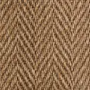 Synsisal Astoria  – Bark
