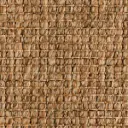 Synsisal Winthrop – Bark
