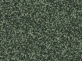 Produktbild – Frisea Veloursteppich Raummass mit Paspelband – 4m / 4J02