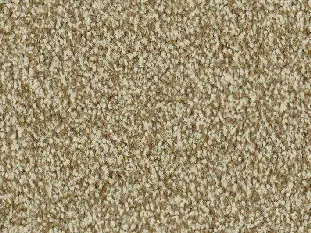 Produktbild – Frisea Veloursteppich Raummass mit Paspelband – 4m / 8L60
