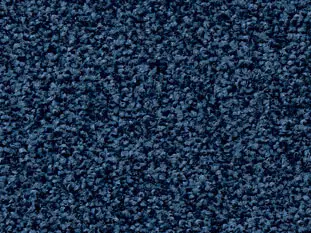 Produktbild – Frisea Veloursteppich Raummass mit Paspelband – 4m / 3N72