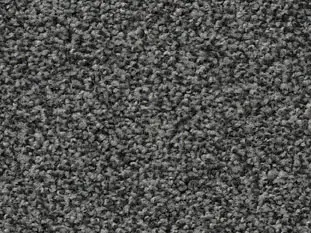 Produktbild – Frisea Veloursteppich Raummass mit Paspelband – 4m / 5W13