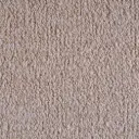 Radici Trotter Schlingenteppich – 4m / Tortora