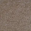 Radici Trotter Schlingenteppich – 4m / Gazzella