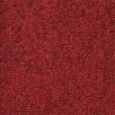 Teppichbahn Tiara Brio – 4,2m / 67-fraise
