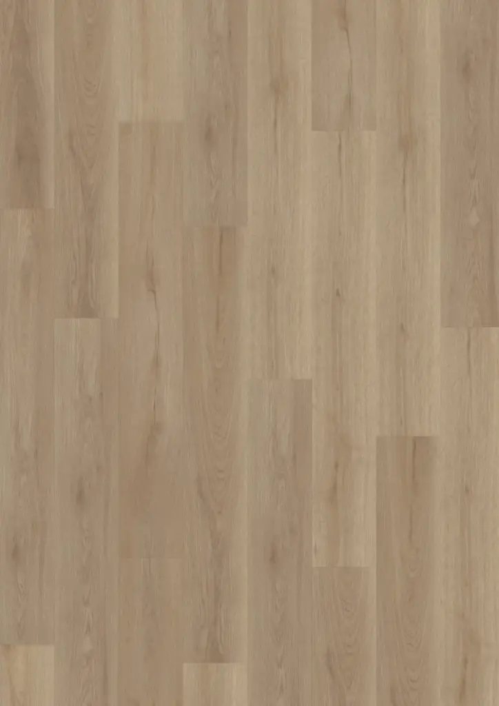 Produktbild – ECO Acoustic 55 Dryback Wood – nordic Oak Greige