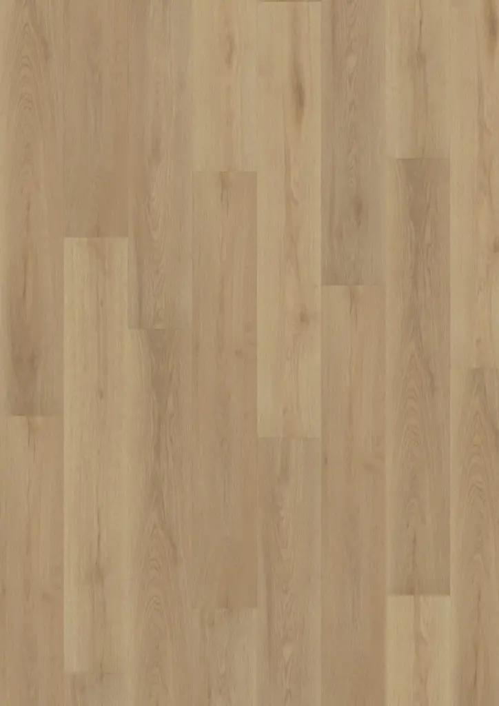 Produktbild – ECO Acoustic 55 Dryback Wood – Nordic Oak Light Natural