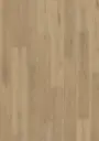 ECO Acoustic 55 Dryback Wood – Nordic Oak Light Natural