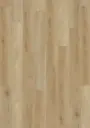 ECO Acoustic 55 Dryback Wood – Delicate Oak Natural
