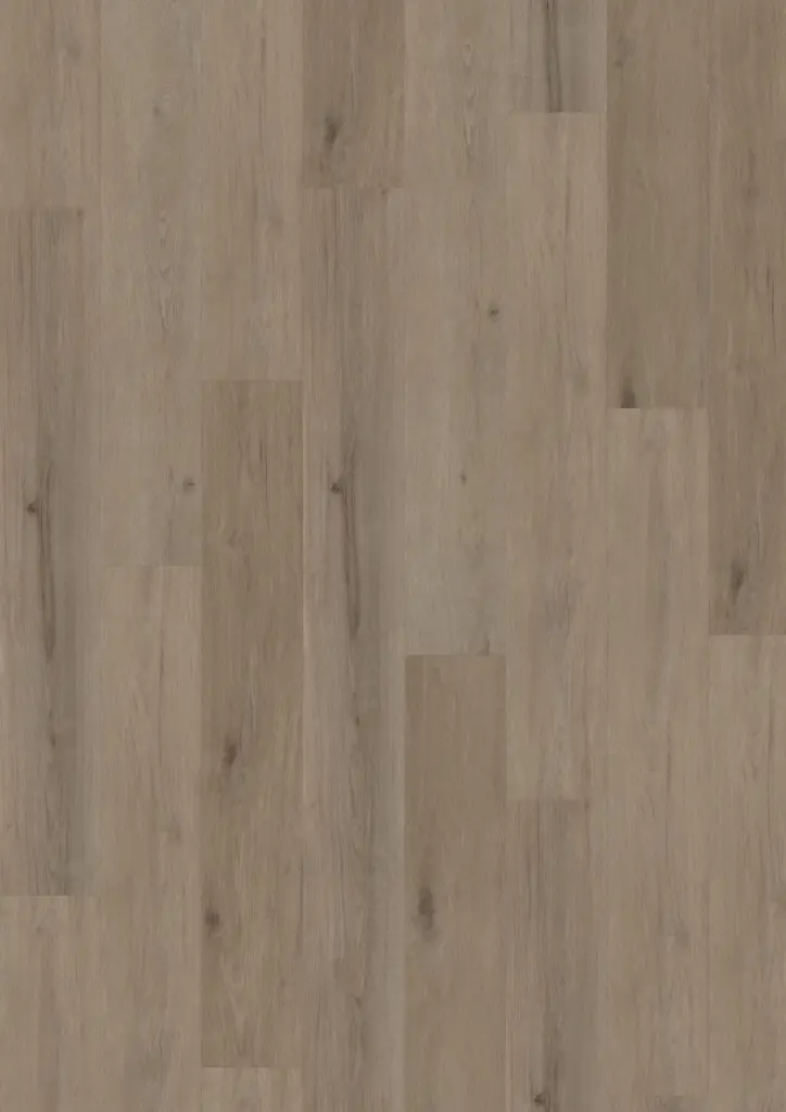 Produktbild – ECO Acoustic 55 Dryback Wood – Aspen Oak Dark Greige