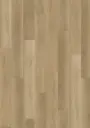 ECO Acoustic 55 Dryback Wood – Fresh Oak Natural