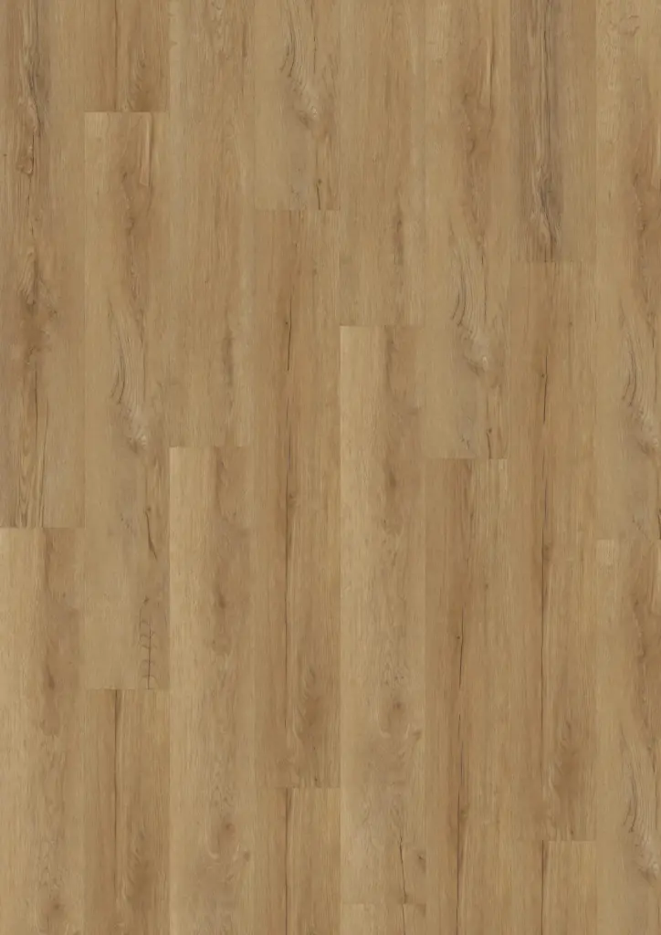 Produktbild – ECO Acoustic 55 Dryback Wood – Bavarian Oak Honey