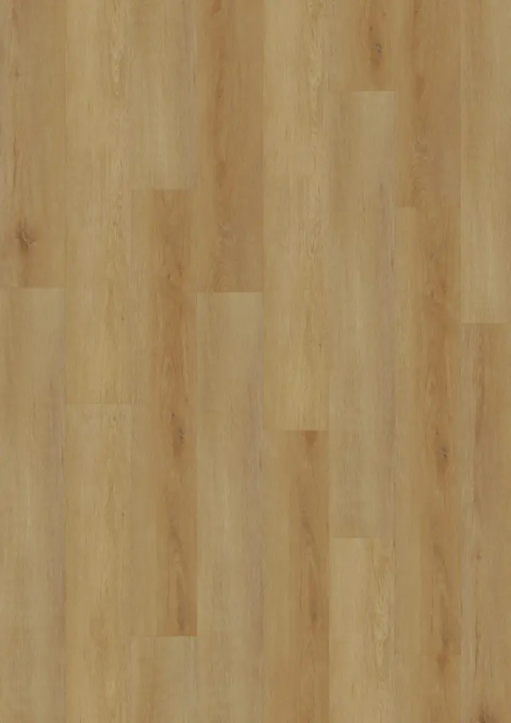 Produktbild – ECO Acoustic 55 Dryback Wood – Delicate Oak Amber