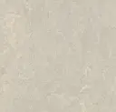 Linoleum Marmoleum Neutral Accent Modular 50 x 50  – t3136 concrete
