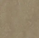 Linoleum Marmoleum Neutral Accent Modular 50 x 50  – t3252 sparrow