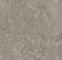 Linoleum Marmoleum Neutral Accent Modular 50 x 50  – t3146 serene grey
