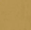 Linoleum Marmoleum Neutral Accent Modular 50 x 50  – linseed