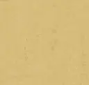 Linoleum Marmoleum Neutral Accent Modular 50 x 50  – corn silk