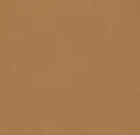 Linoleum Marmoleum Neutral Accent Modular 50 x 50  – tiger's eye