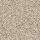 Sally Veloursteppich Fliese  – 8M06