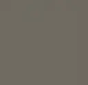 heterogener Vinylbelag, Eternal Wood Material Colour – 42482 earth