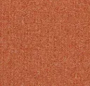 Teppichfliese Schlinge Tessera Pro Fliesen   – clementine