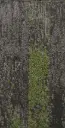 Teppichfliese Schatz Sonderdecor Marathon Forest Schlinge   – Teppichfliese Schatz Sonderdecor Marathon Forest Schlinge  