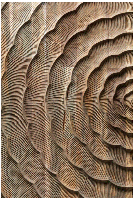 Wonderwall Current Teak  – CURRENT 2