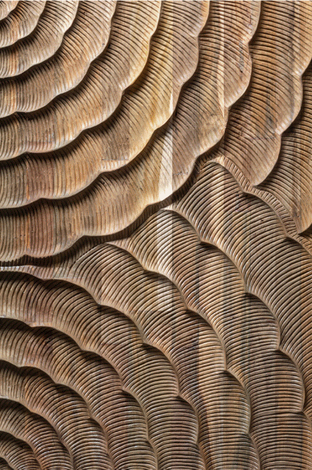 Wonderwall Current Teak  – CURRENT 5