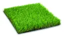 Rasenteppich Perfect 33 – 2m