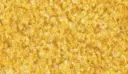 Logomatte Eingangsmatte Indoor – 602 / ohne Trittrand