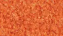 Logomatte Eingangsmatte Indoor – 604 / mit Trittrand
