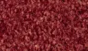 Logomatte Eingangsmatte Indoor – 606 / mit Trittrand