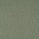 Radici Montecarlo Veloursteppich – 4m / Opal