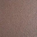 Radici Oceania Veloursteppich – 4m / Nocciola