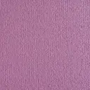 Radici Oceania Veloursteppich – 4m / Confetto