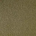 Radici Eros Veloursteppich – 4m / Avocado