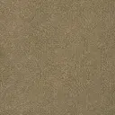 Radici Bloom Back Veloursteppich  – Avena / 4m