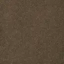 Radici Bloom Back Veloursteppich  – Taupe / 4m