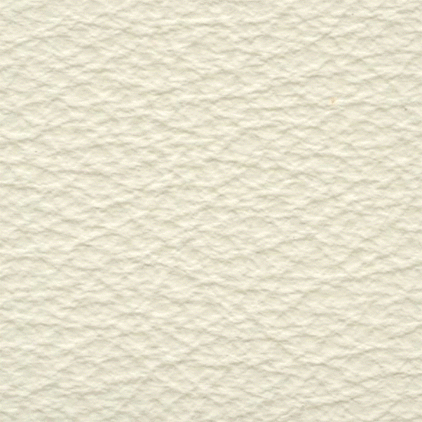 Acoustic Leder Broom Gusto Maxi – LATTE